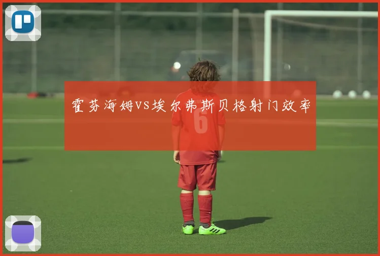 霍芬海姆vs埃尔弗斯贝格射门效率