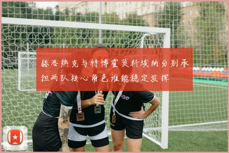 赫洛热克与特博霍莫科埃纳分别承担两队核心角色谁能稳定发挥