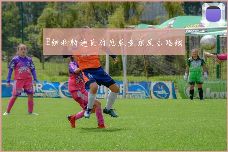 E组科特迪瓦对厄瓜多尔反击路线