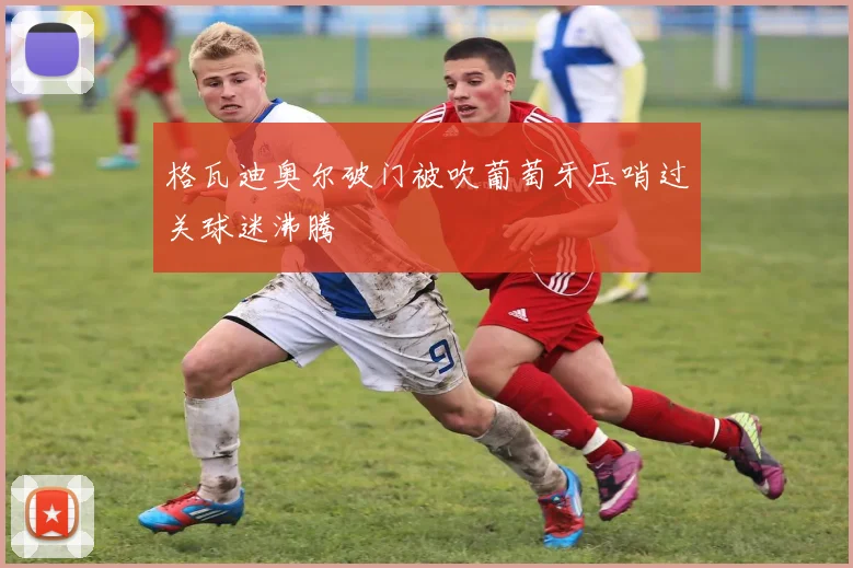 格瓦迪奥尔破门被吹葡萄牙压哨过关球迷沸腾
