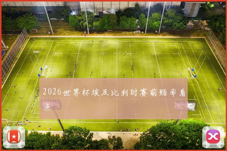 2026世界杯埃及比利时赛前赔率看点