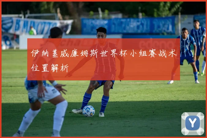 伊纳基威廉姆斯世界杯小组赛战术位置解析